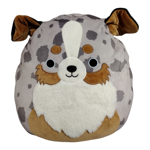 Australian Shepherd Raylor 16" Squishmallow‎ - Picture 1 of 9